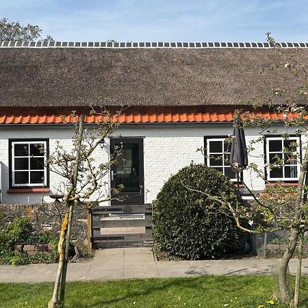 Hof Aan Zee Villa Dishoek Exteriör bild