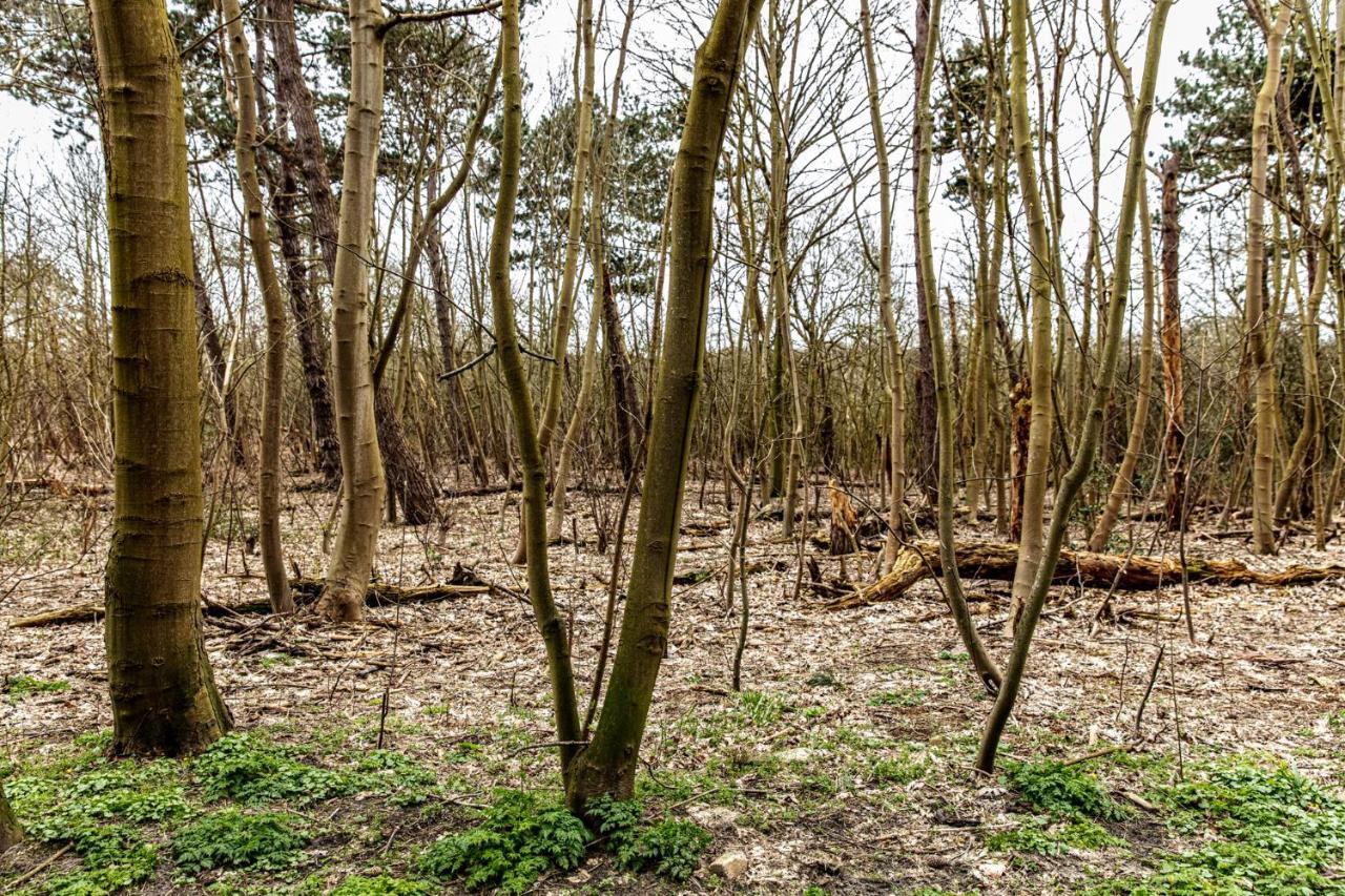 Hof Aan Zee Villa Dishoek Exteriör bild